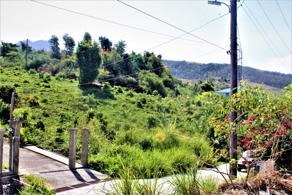 13,151sqft residential lot in Belfast , Mahaut , Dominica