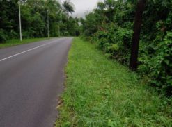 2 acres of flat land in Penrice, Dominica – EC$320,000 /US$119,850