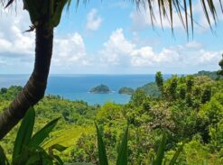 4.7 acres of farm land in Castle Bruce , Dominica – EC$55,000 / US$20,599 per acre