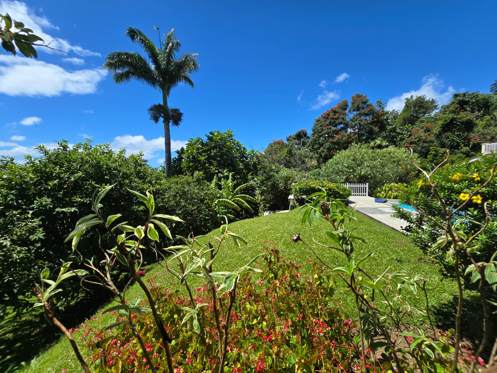 4 bedrooms, 5 bathrooms, fully furnished house in Beau Bois, Dominica – US$800,000 / EC$2,172,520 Million