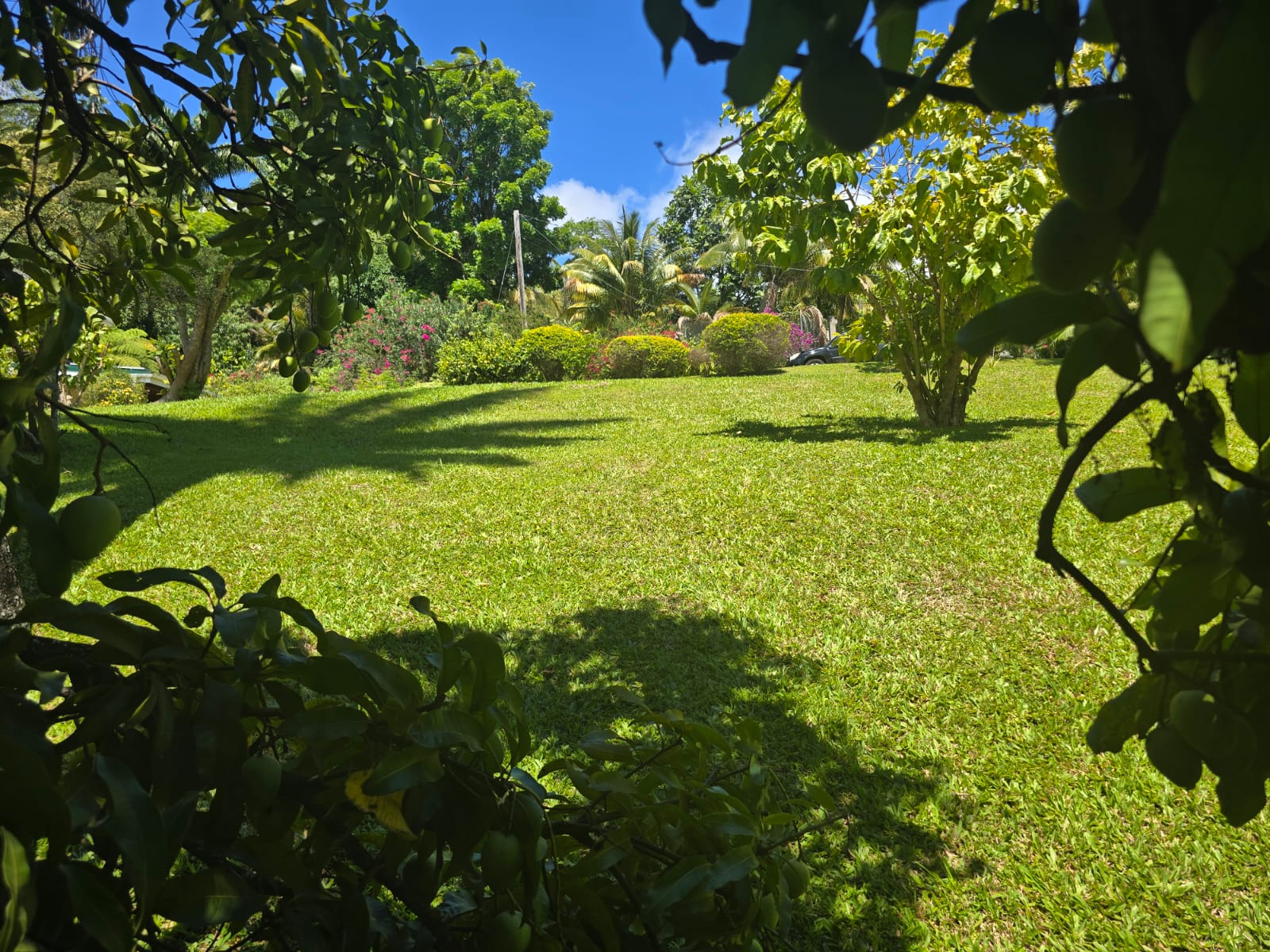 4 bedrooms, 5 bathrooms, fully furnished house in Beau Bois, Dominica – US$800,000 / EC$2,172,520 Million