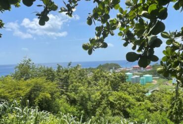 10,000sqft land in Morne Daniel, Dominica – EC$220,000 /US$82,397