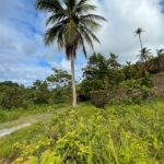 2.82 acres farm land in Formi – Castle Bruce, Dominica -EC$190,000 / US$71,161