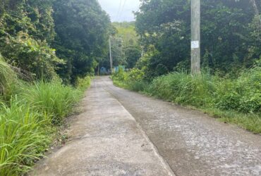 2 acres of land near beach for sale in Picard,  Portsmouth – Dominica – inquire for price