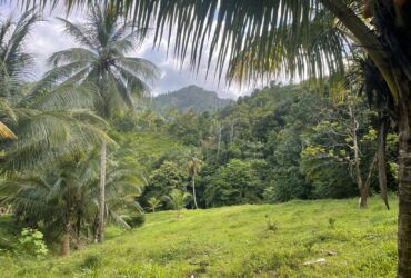 Agricultural land for sale in Castle Bruce, Dominica. EC$85,000 / US$31,835 per acre