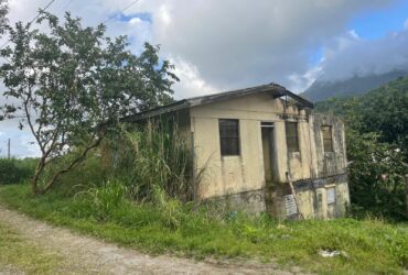 3 bedrooms, 1 bath Fixer Upper house in Sylvania, Dominica – EC$127,000 / US$47,566