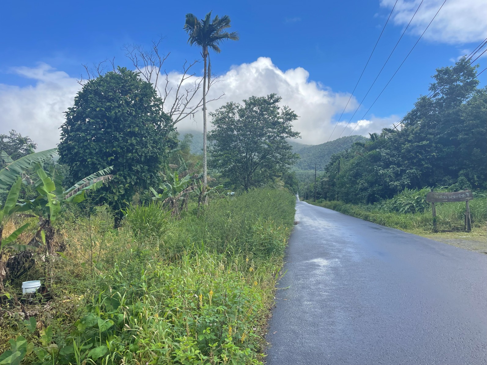 1.5 acre for sale in Sultan, Dominica – inquire for price