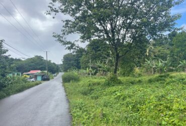 1.5 acre for sale in Sultan, Dominica – inquire for price