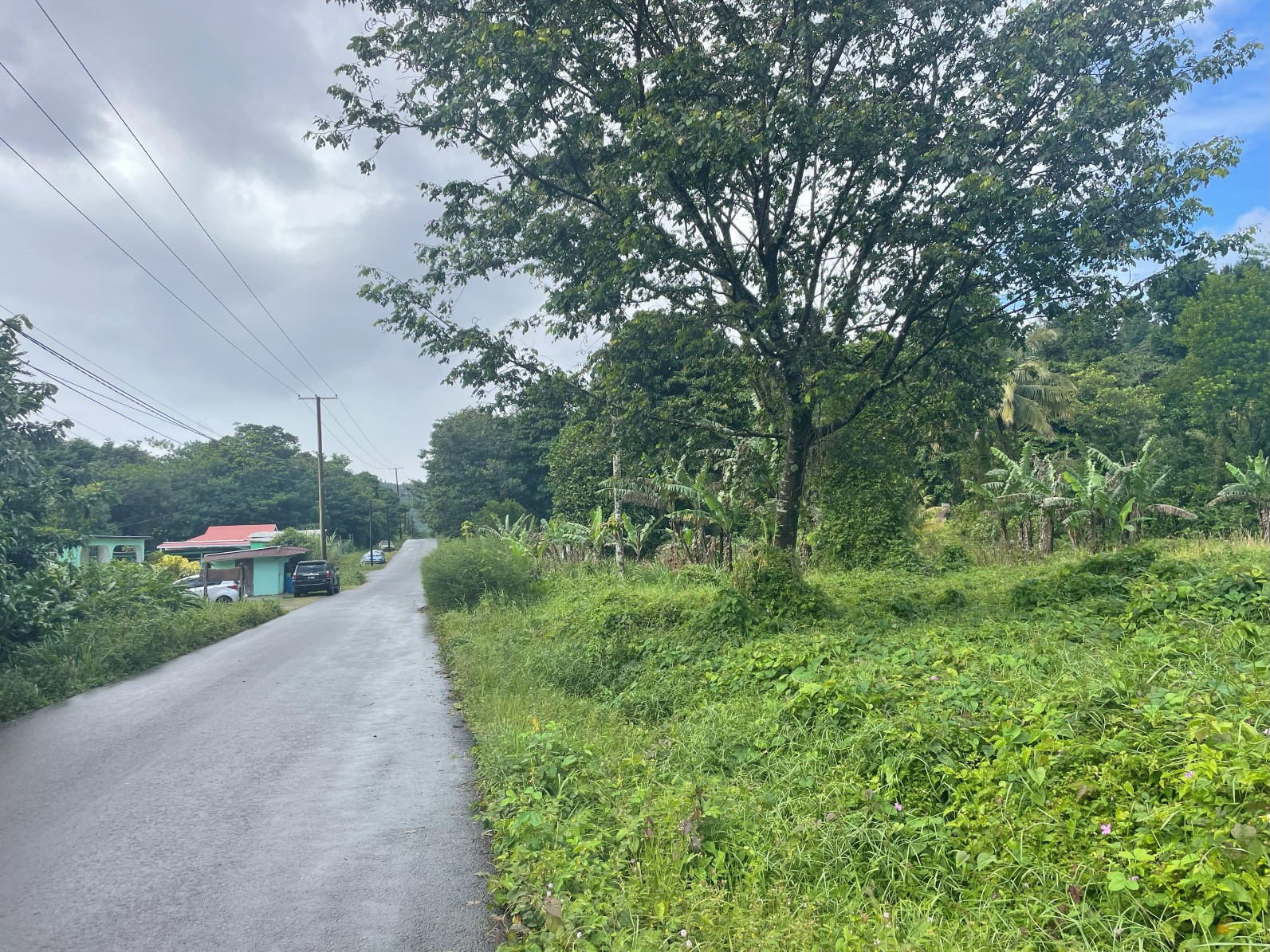 1.5 acre for sale in Sultan, Dominica – inquire for price