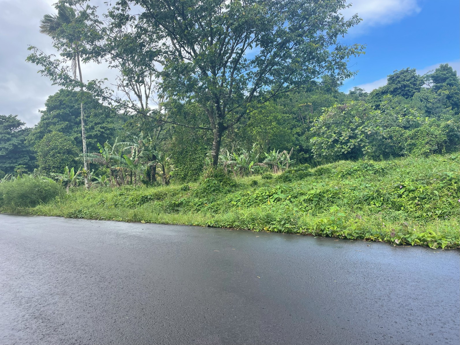 1.5 acre for sale in Sultan, Dominica – inquire for price