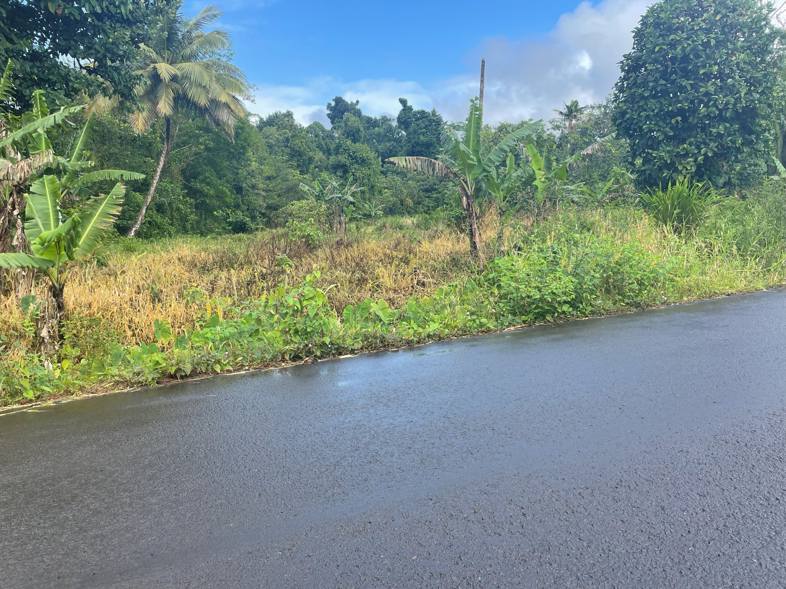1.5 acre for sale in Sultan, Dominica – inquire for price