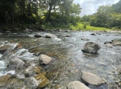 34 acres river front land in New Foundland, Rosalie -EC$1,800,000 / US$675,000