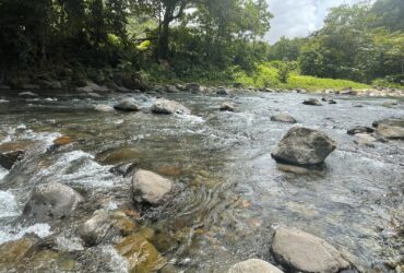34 acres river front land in New Foundland, Rosalie -inquire for price