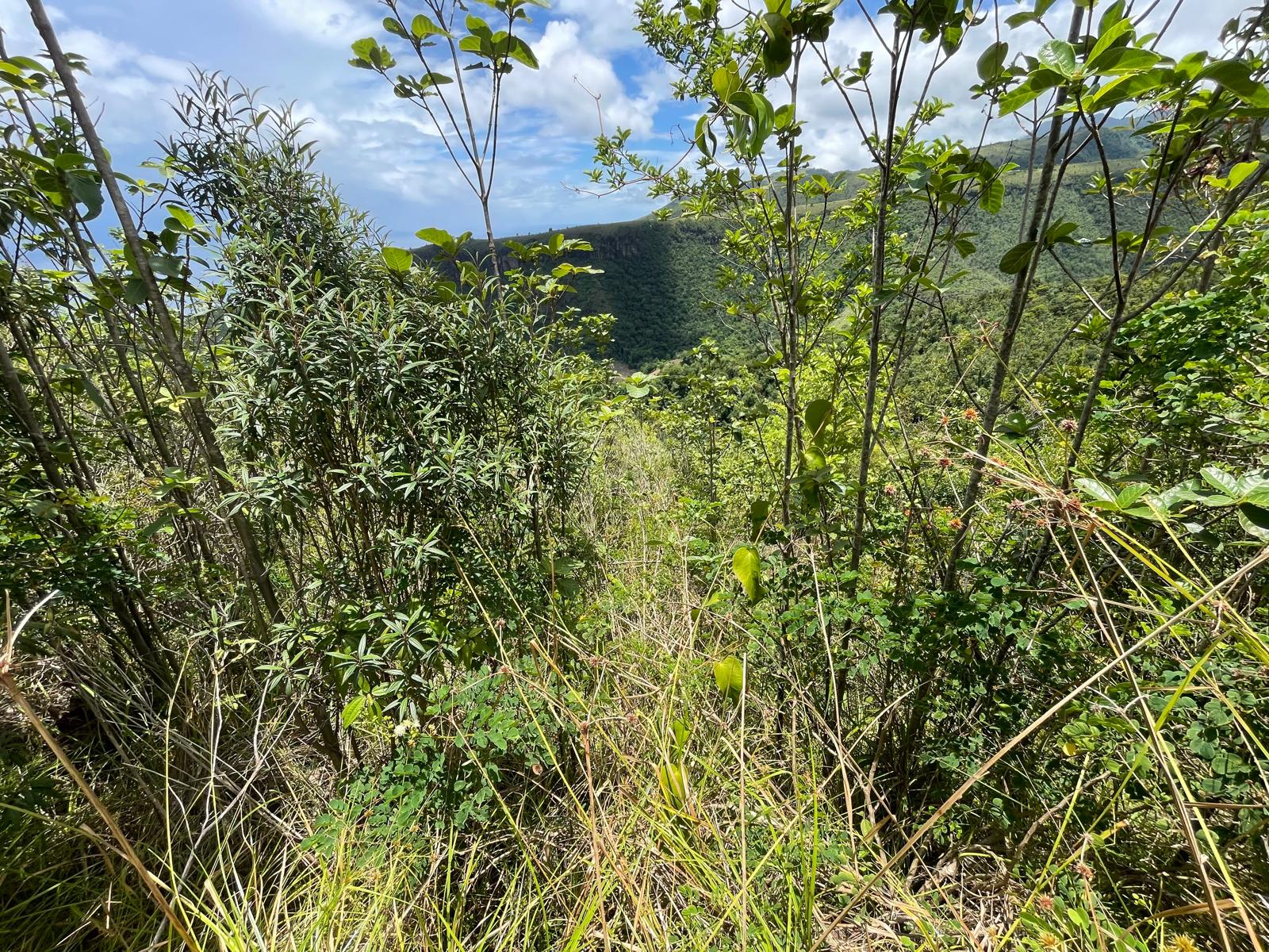 2.992 acres of land in Mero , Dominica – EC$250,000 / US$93,633