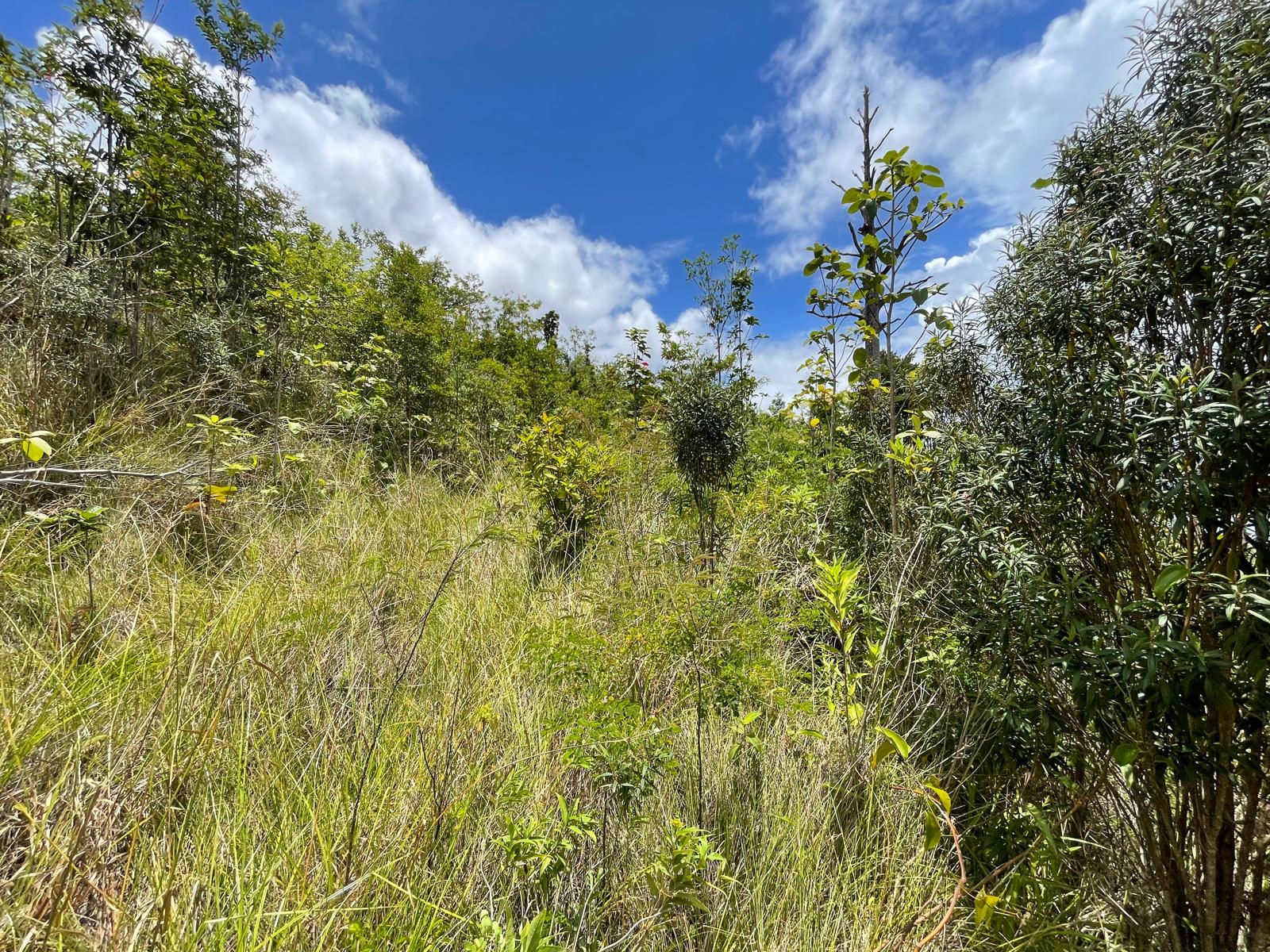 2.992 acres of land in Mero , Dominica – EC$250,000 / US$93,633