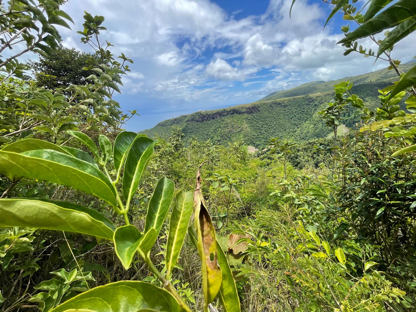 2.992 acres of land in Mero , Dominica – EC$250,000 / US$93,633