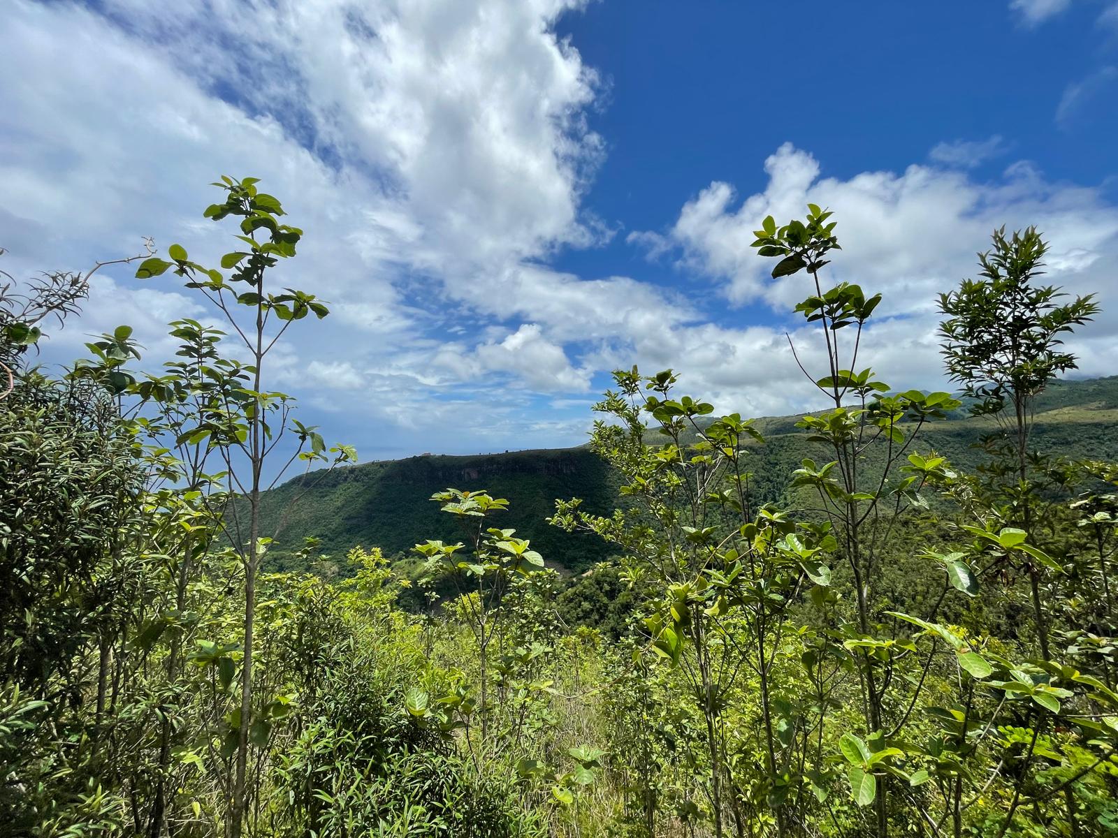 2.992 acres of land in Mero , Dominica – EC$250,000 / US$93,633