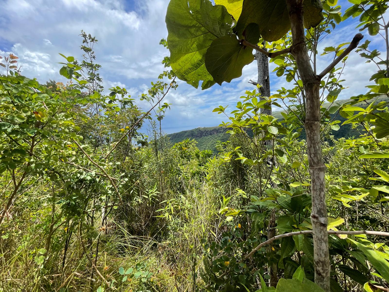 2.992 acres of land in Mero , Dominica – EC$250,000 / US$93,633