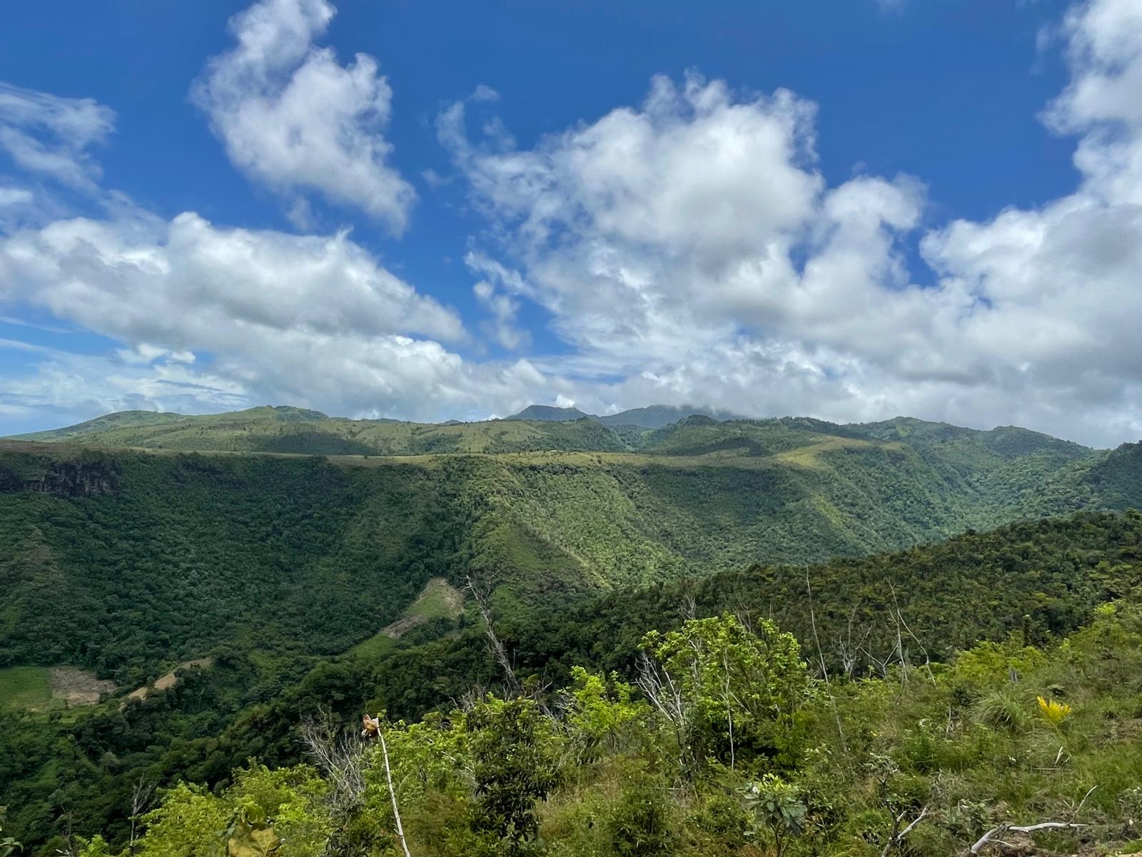 2.992 acres of land in Mero , Dominica – EC$250,000 / US$93,633