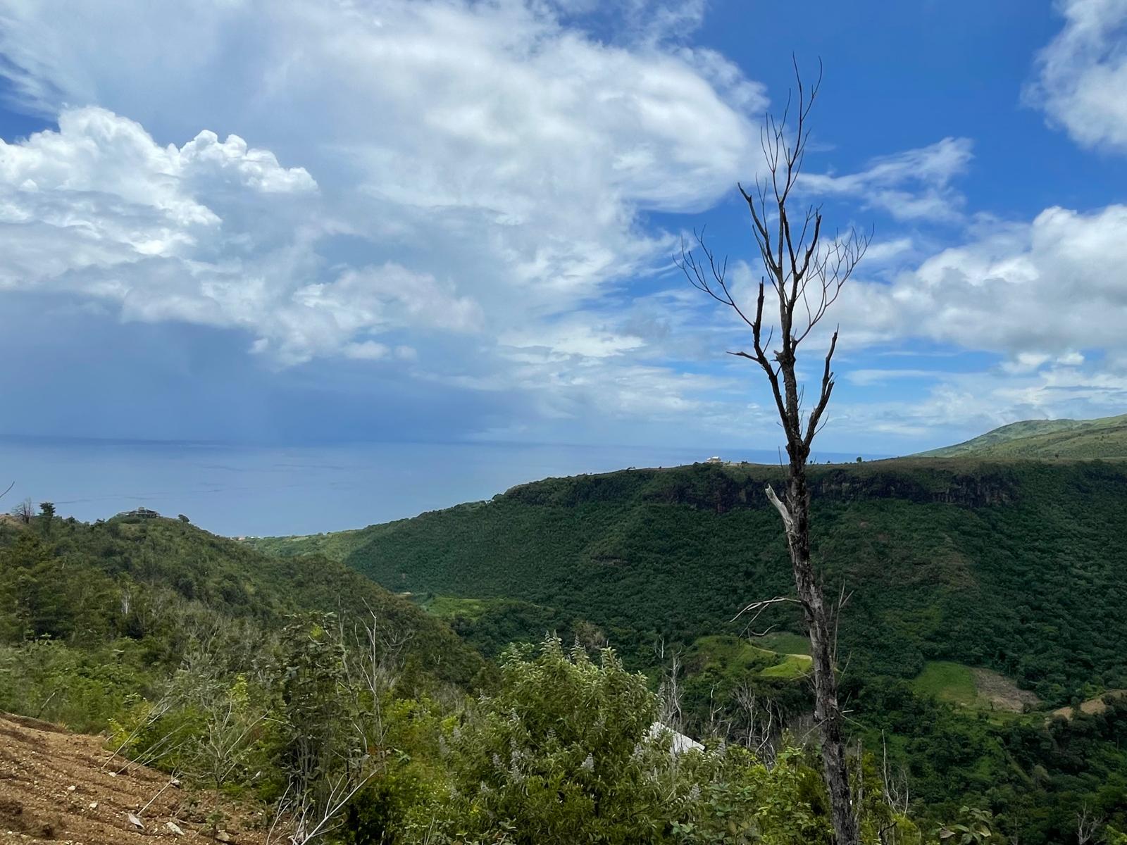 2.992 acres of land in Mero , Dominica – EC$250,000 / US$93,633