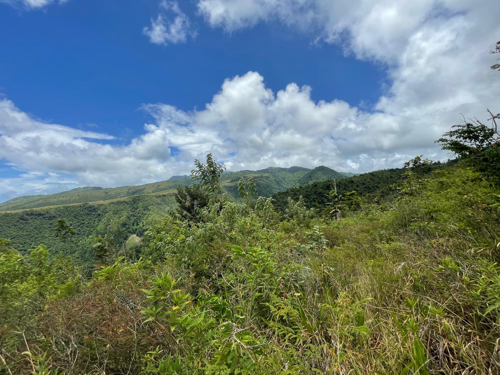 2.992 acres of land in Mero , Dominica – EC$250,000 / US$93,633