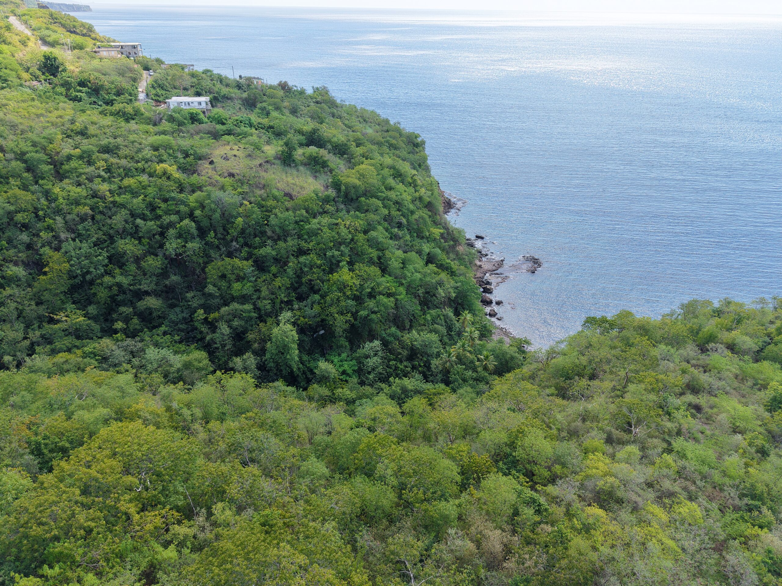 4.5 acres of ocean front property for sale in Colihaut, Dominica. – Inquire for price