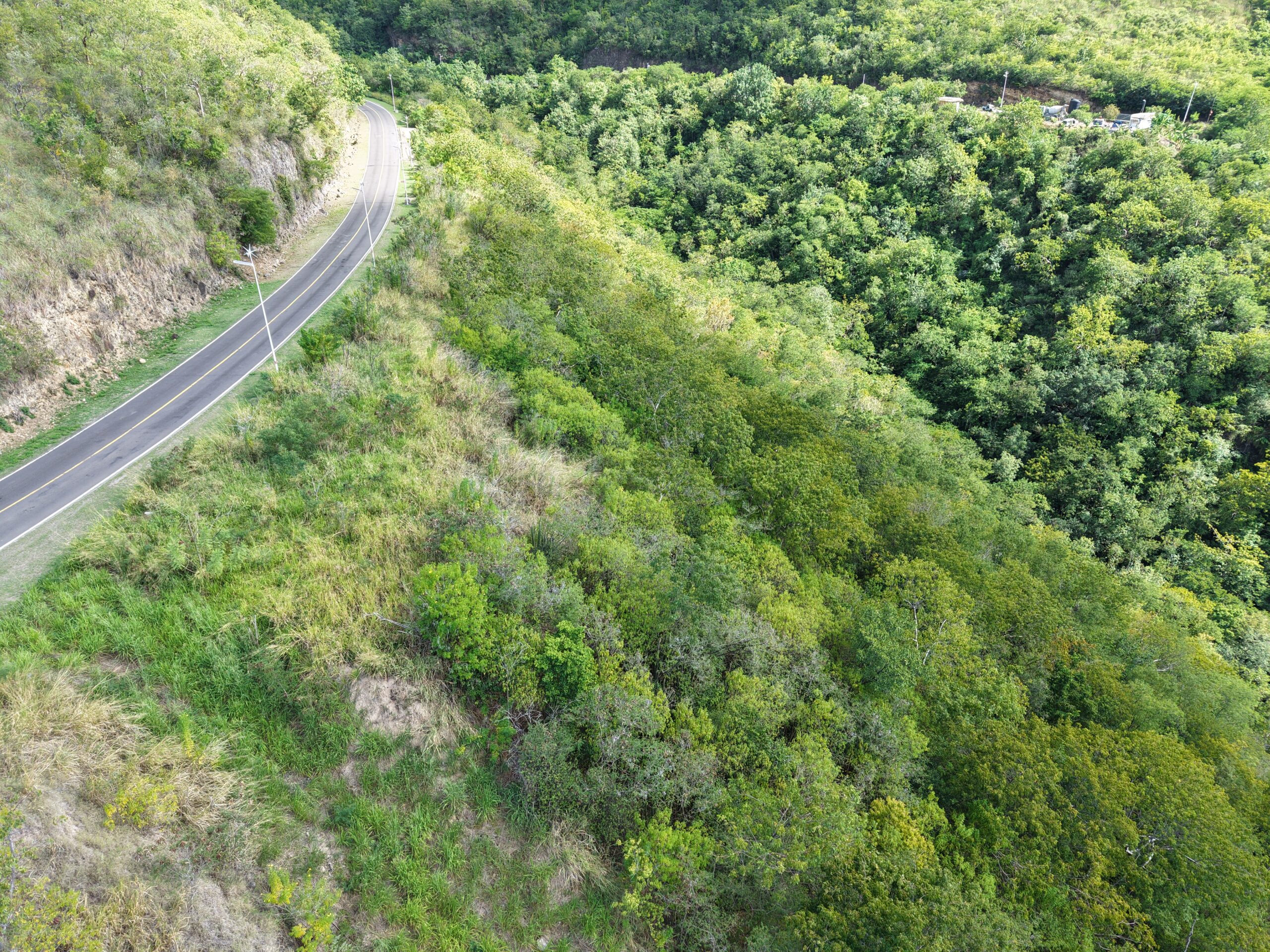 4.5 acres of ocean front property for sale in Colihaut, Dominica. – Inquire for price