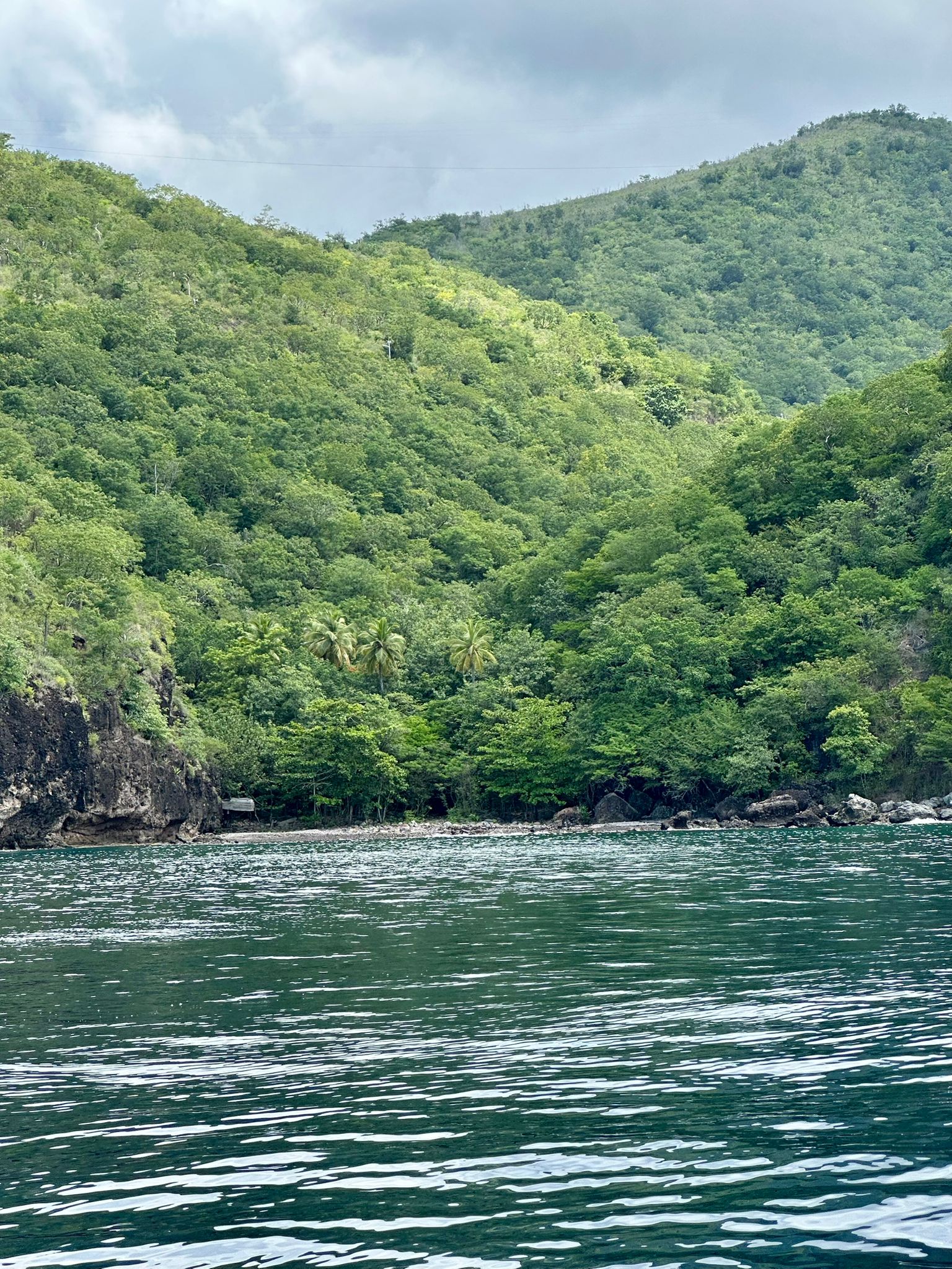 4.5 acres of ocean front property for sale in Colihaut, Dominica. – Inquire for price