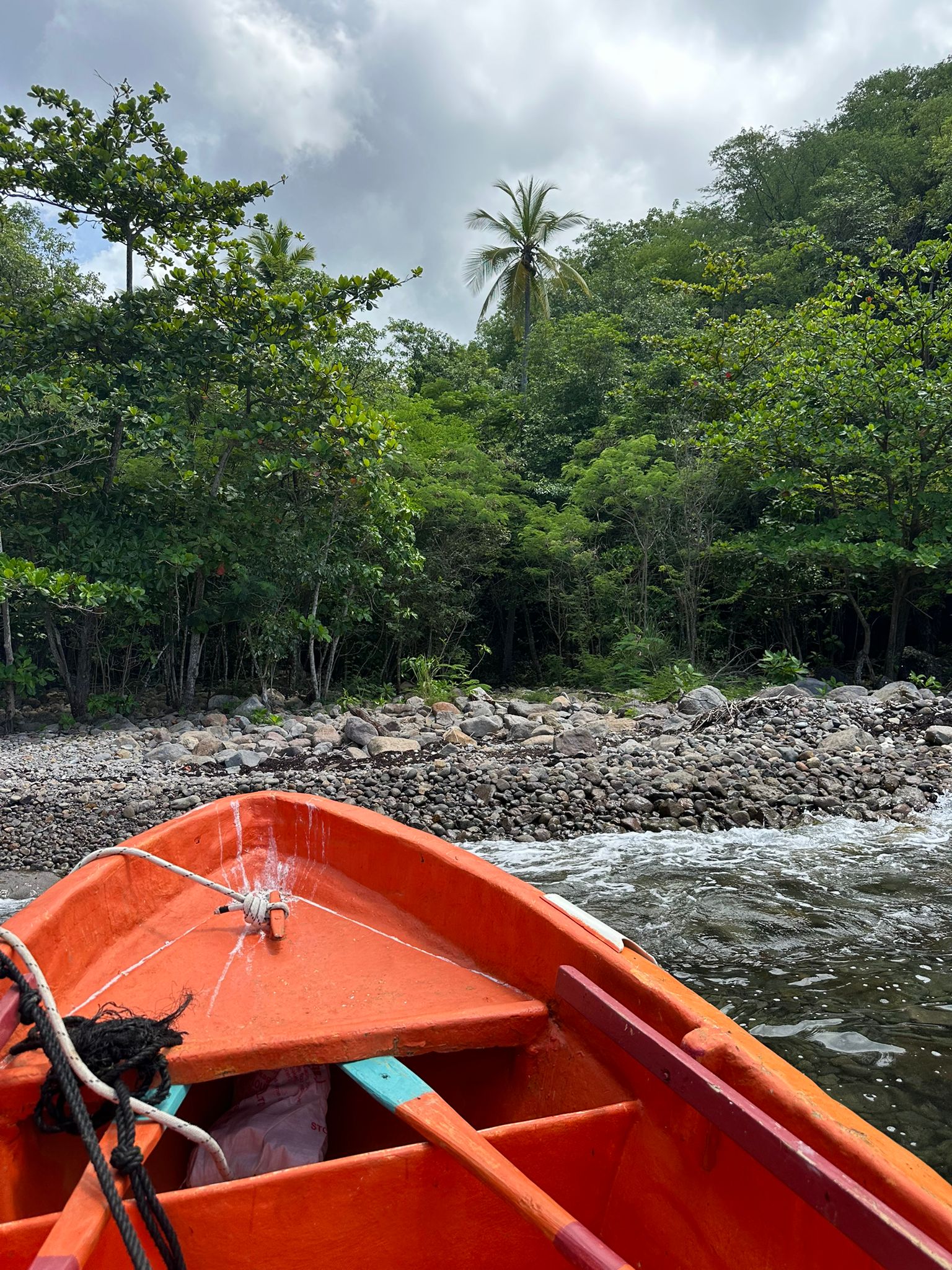 4.5 acres of ocean front property for sale in Colihaut, Dominica. – Inquire for price