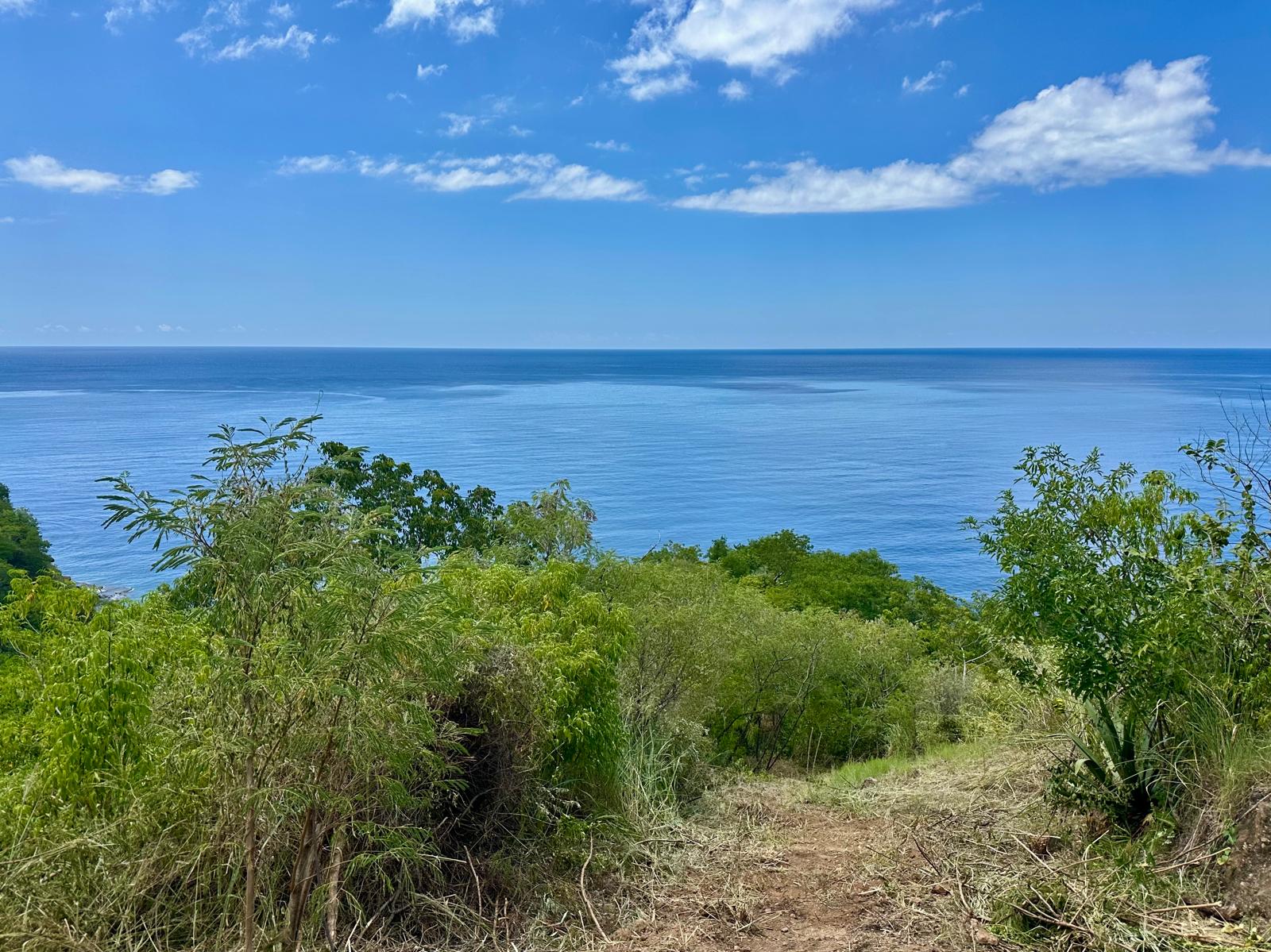 4.5 acres of ocean front property for sale in Colihaut, Dominica. – Inquire for price