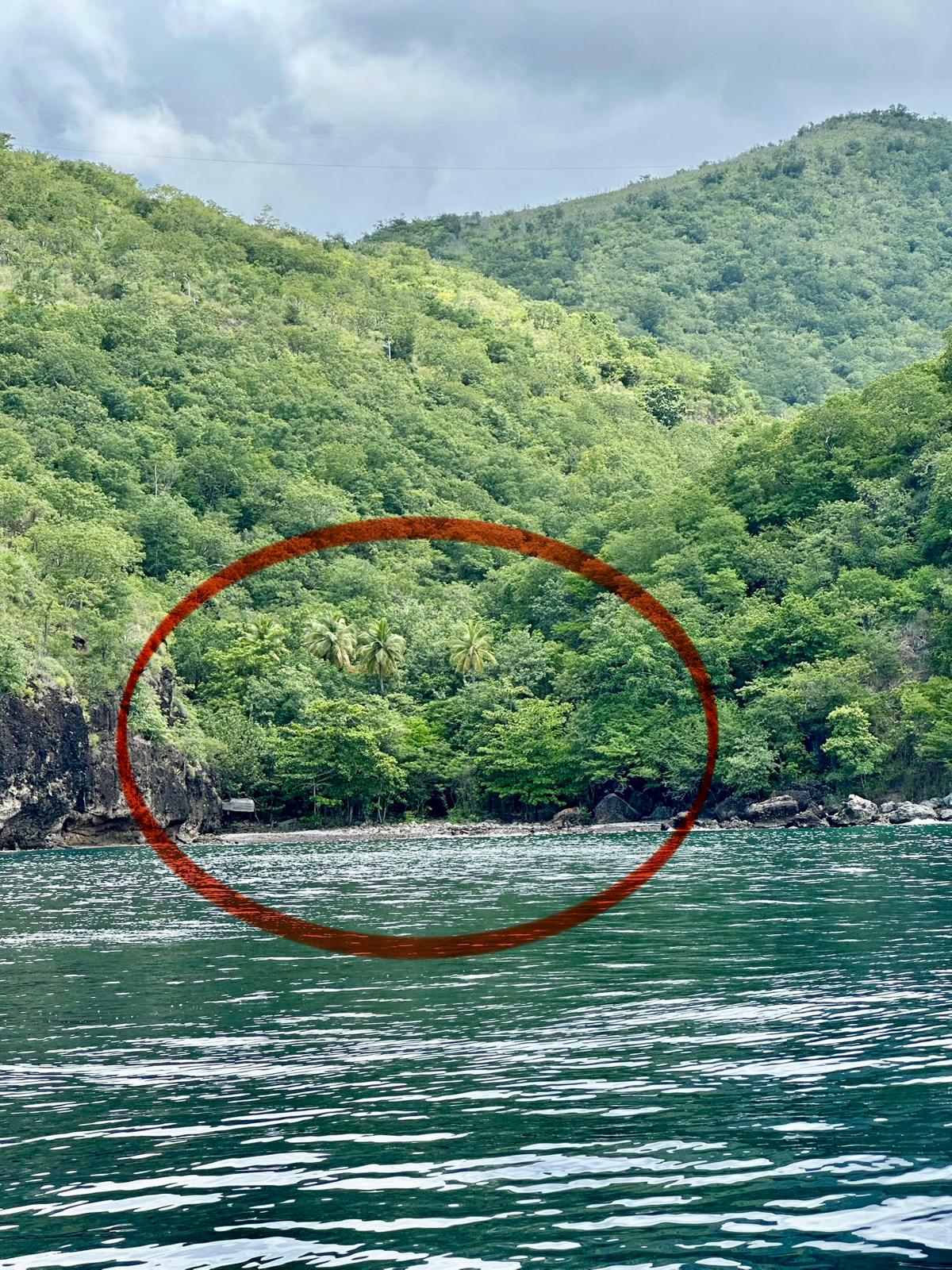 4.5 acres of ocean front property for sale in Colihaut, Dominica. – Inquire for price
