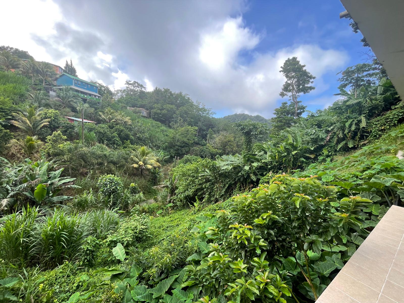 2 Bedrooms country house for sale in Sylvania, Dominica – EC$285,000 /US$106,742