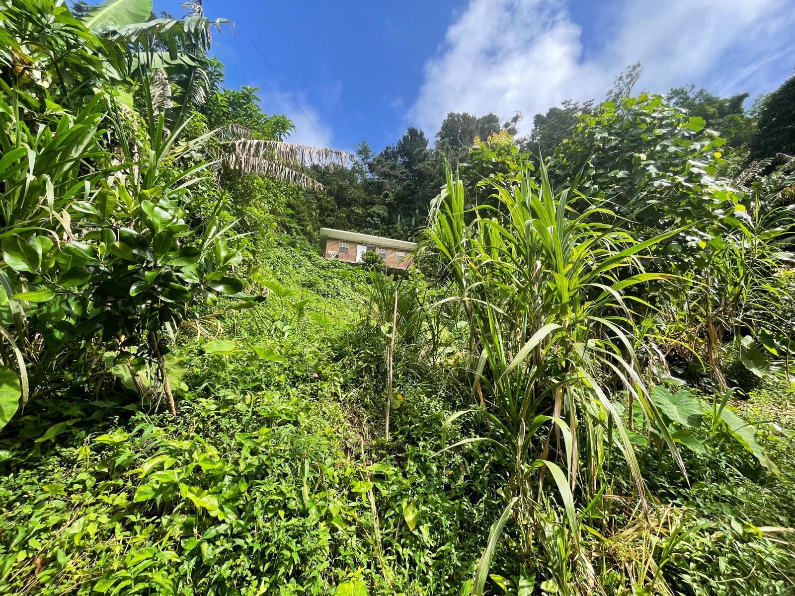 2 Bedrooms country house for sale in Sylvania, Dominica – EC$285,000 /US$106,742