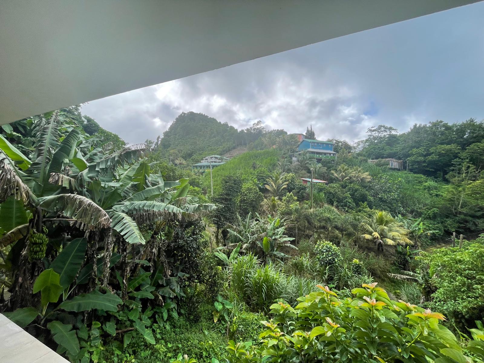 2 Bedrooms country house for sale in Sylvania, Dominica – EC$285,000 /US$106,742