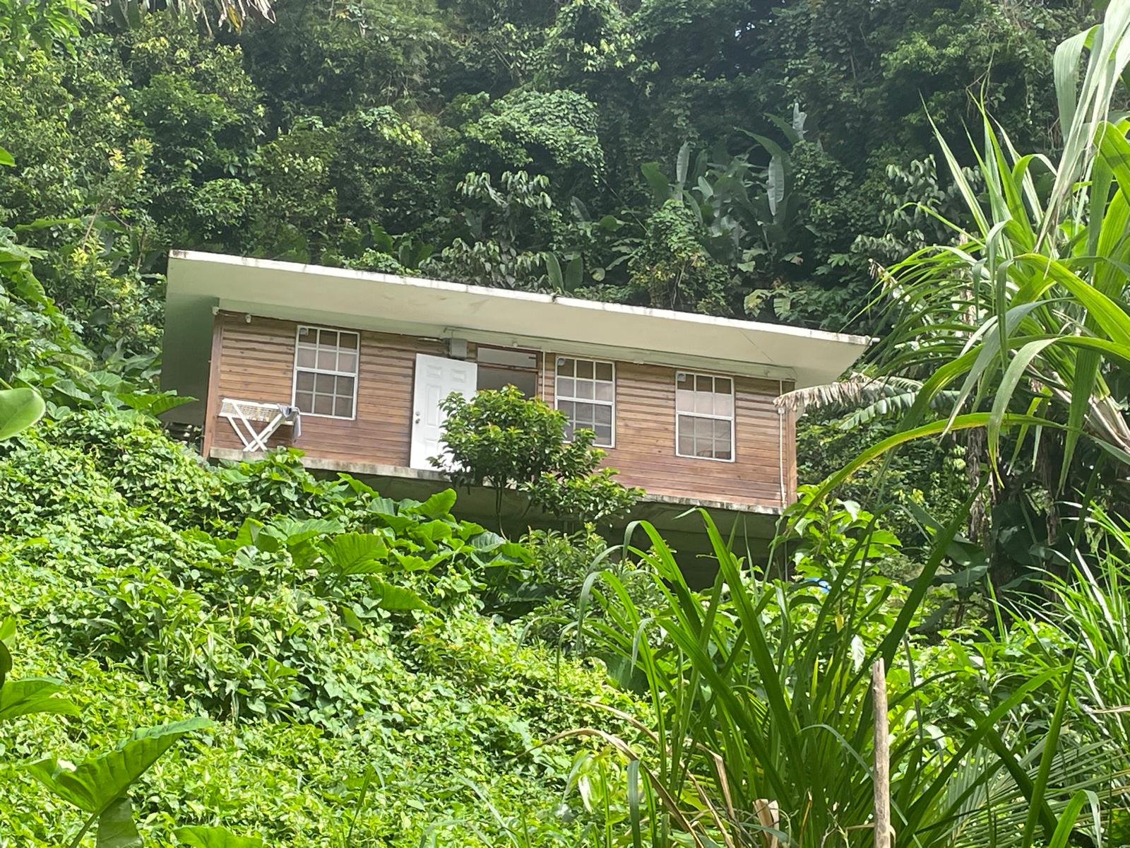 2 Bedrooms country house for sale in Sylvania, Dominica – EC$285,000 /US$106,742