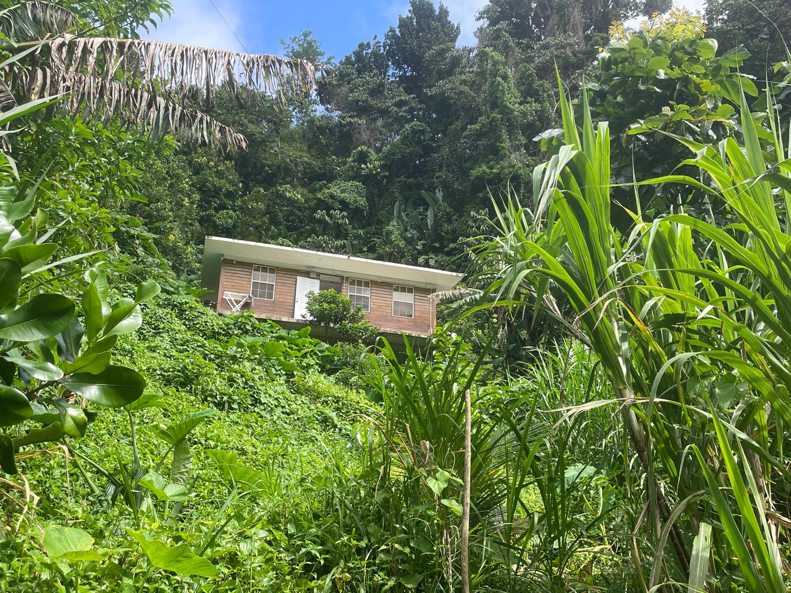 2 Bedrooms country house for sale in Sylvania, Dominica – EC$285,000 /US$106,742