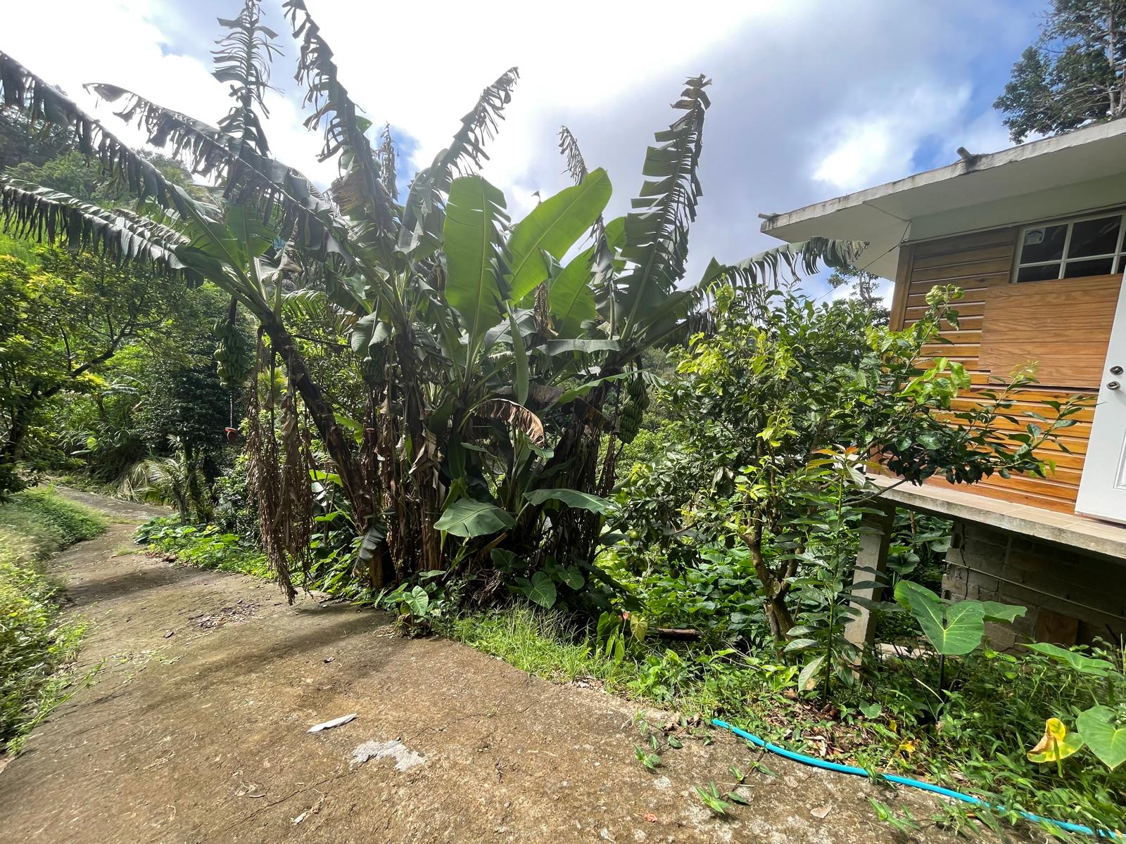 2 Bedrooms country house for sale in Sylvania, Dominica – EC$285,000 /US$106,742