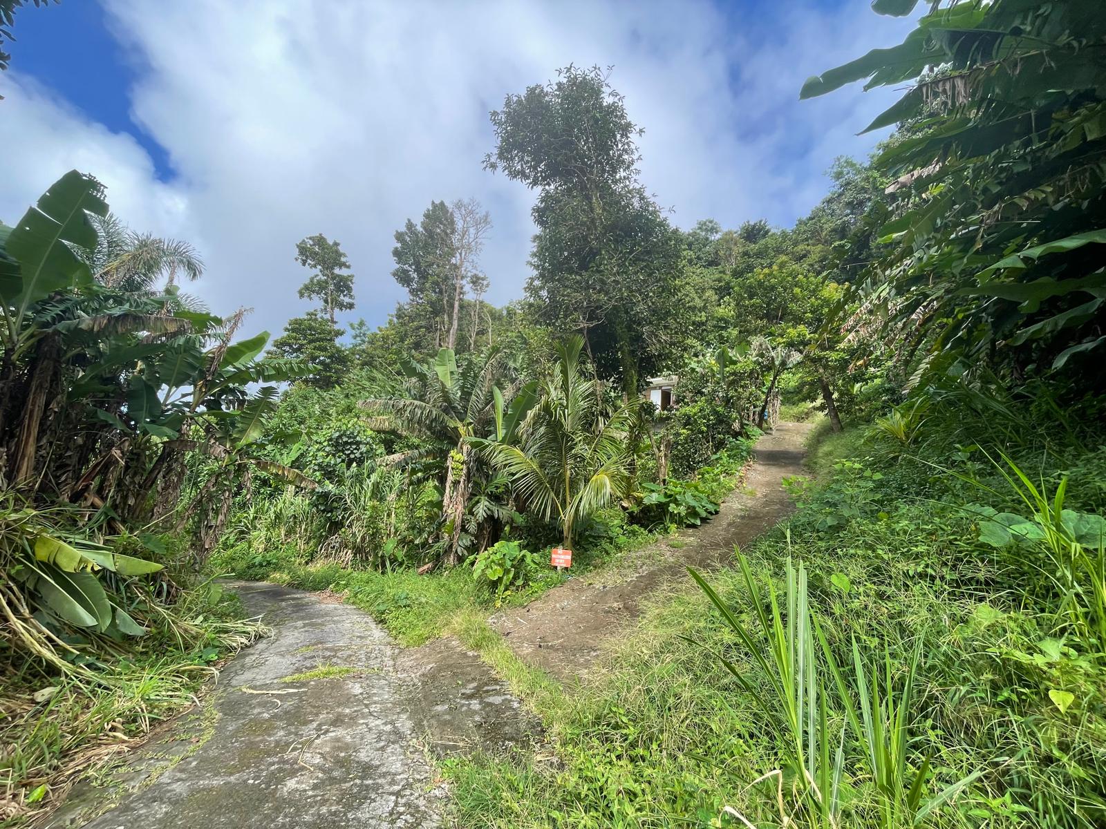 2 Bedrooms country house for sale in Sylvania, Dominica – EC$285,000 /US$106,742