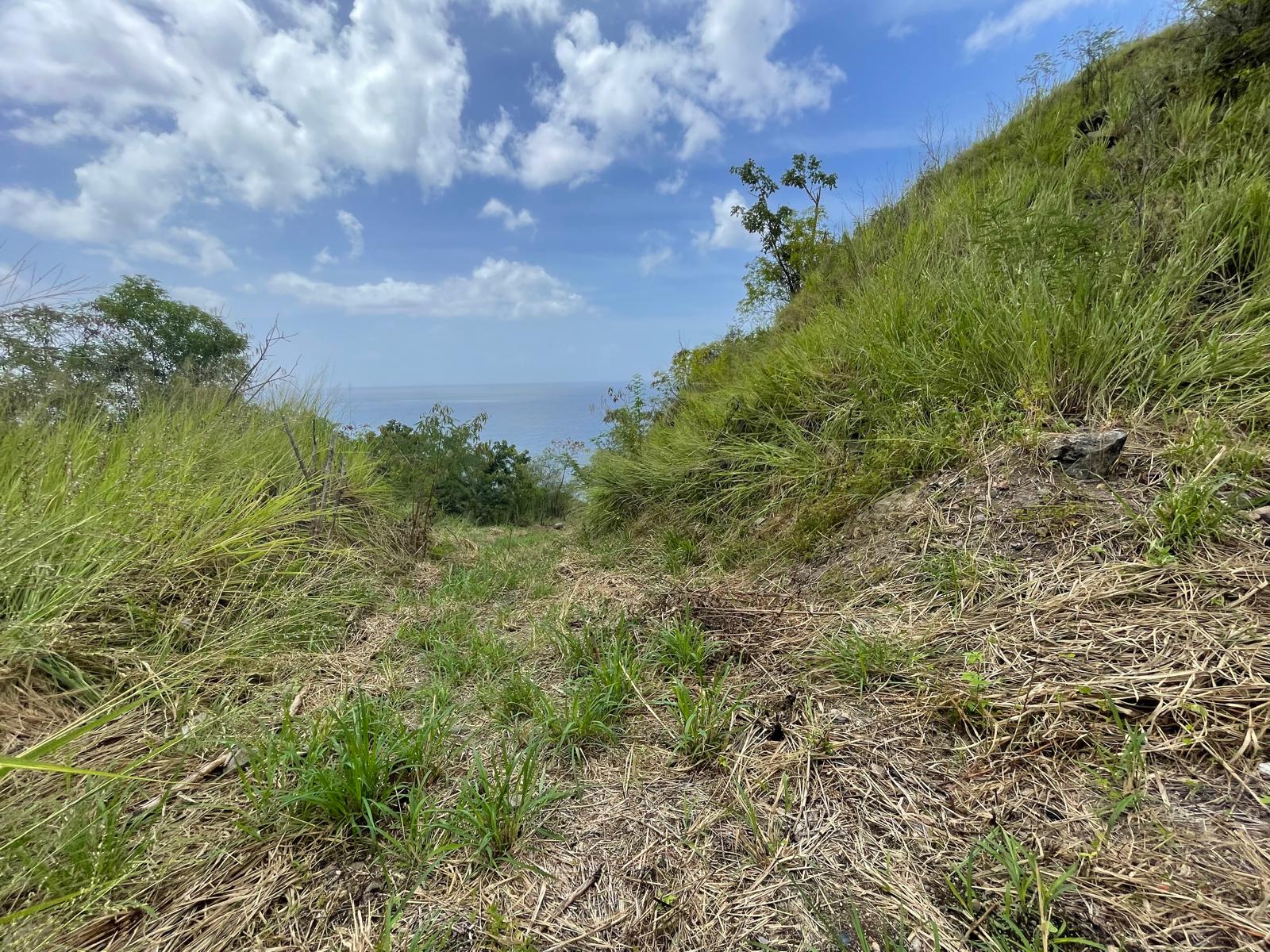 4.5 acres of ocean front property for sale in Colihaut, Dominica. – Inquire for price