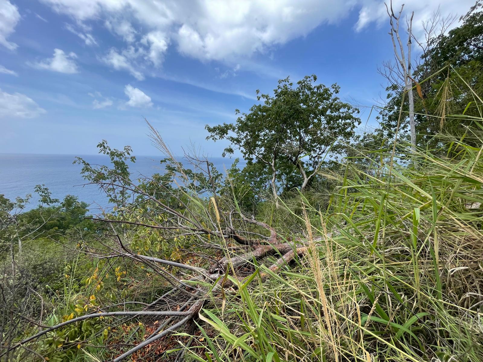 4.5 acres of ocean front property for sale in Colihaut, Dominica. – Inquire for price