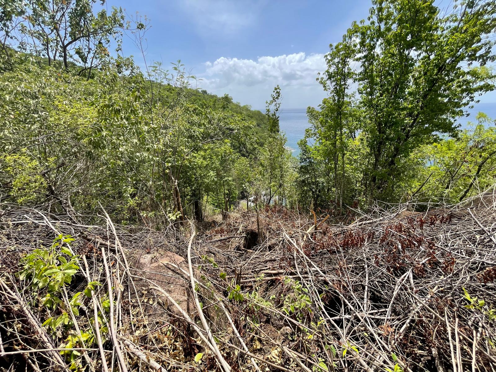 4.5 acres of ocean front property for sale in Colihaut, Dominica. – Inquire for price