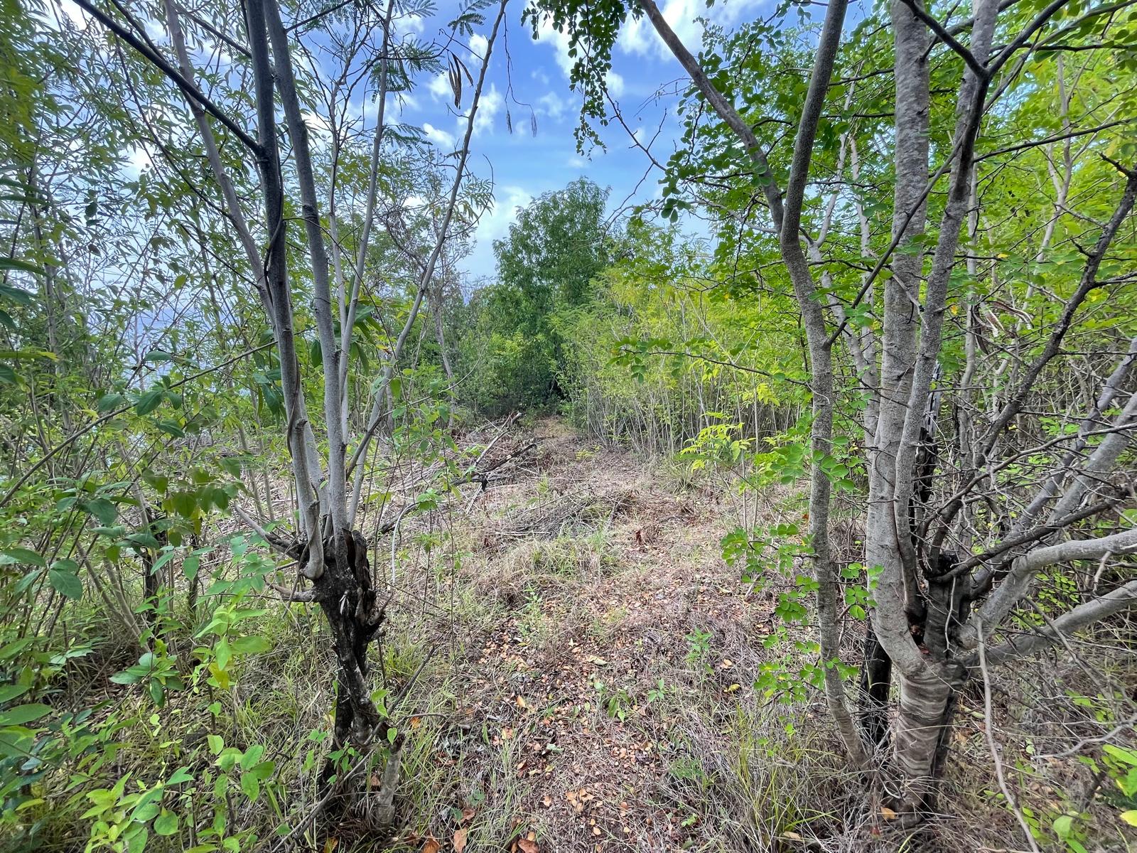 4.5 acres of ocean front property for sale in Colihaut, Dominica. – Inquire for price