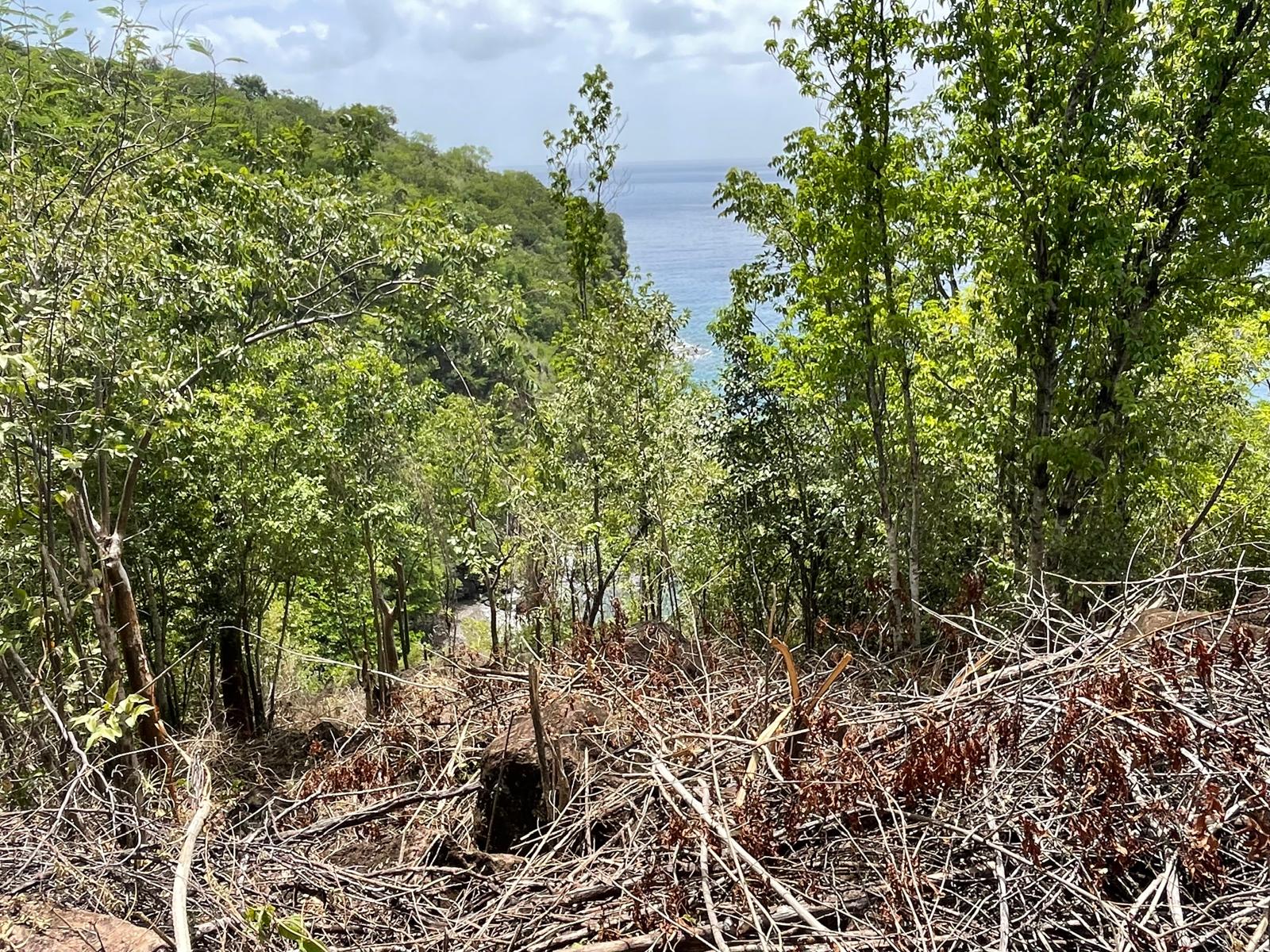 4.5 acres of ocean front property for sale in Colihaut, Dominica. – Inquire for price