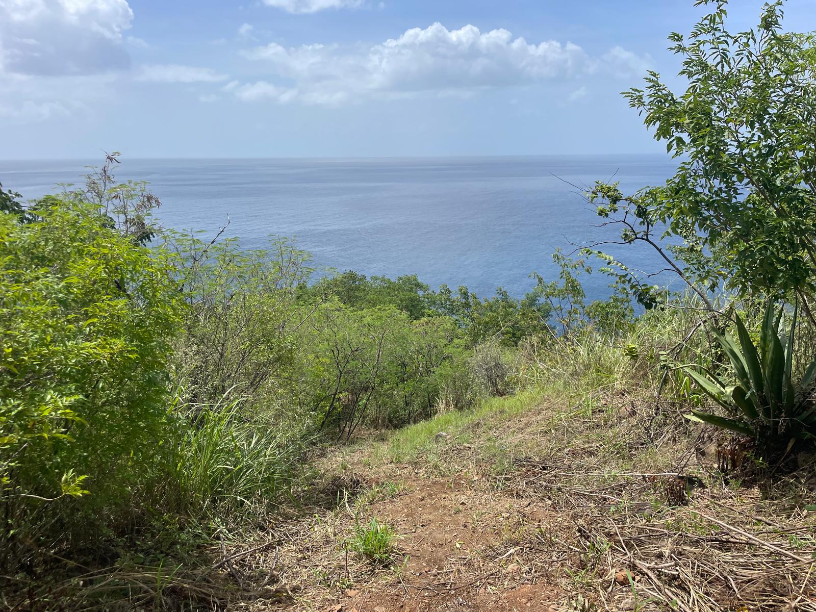 4.5 acres of ocean front property for sale in Colihaut, Dominica. – Inquire for price