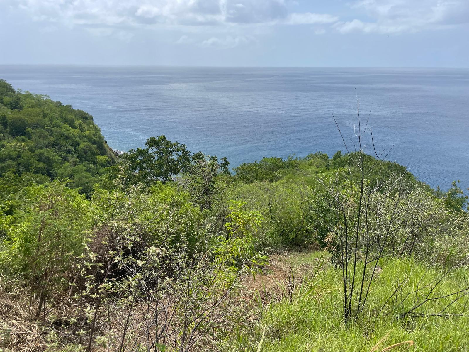 4.5 acres of ocean front property for sale in Colihaut, Dominica. – Inquire for price