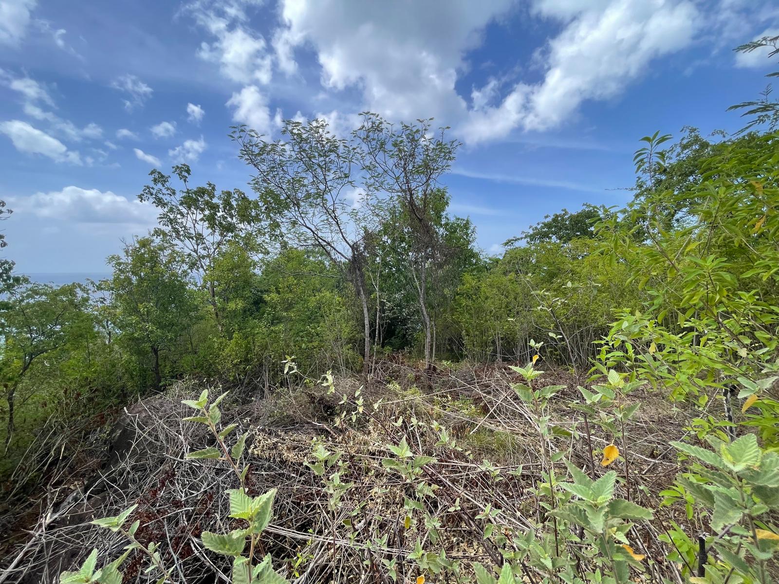 4.5 acres of ocean front property for sale in Colihaut, Dominica. – Inquire for price