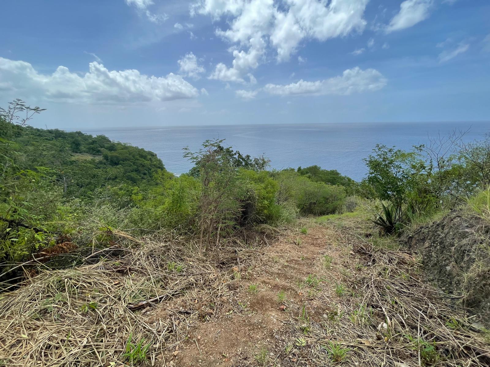 4.5 acres of ocean front property for sale in Colihaut, Dominica. – Inquire for price