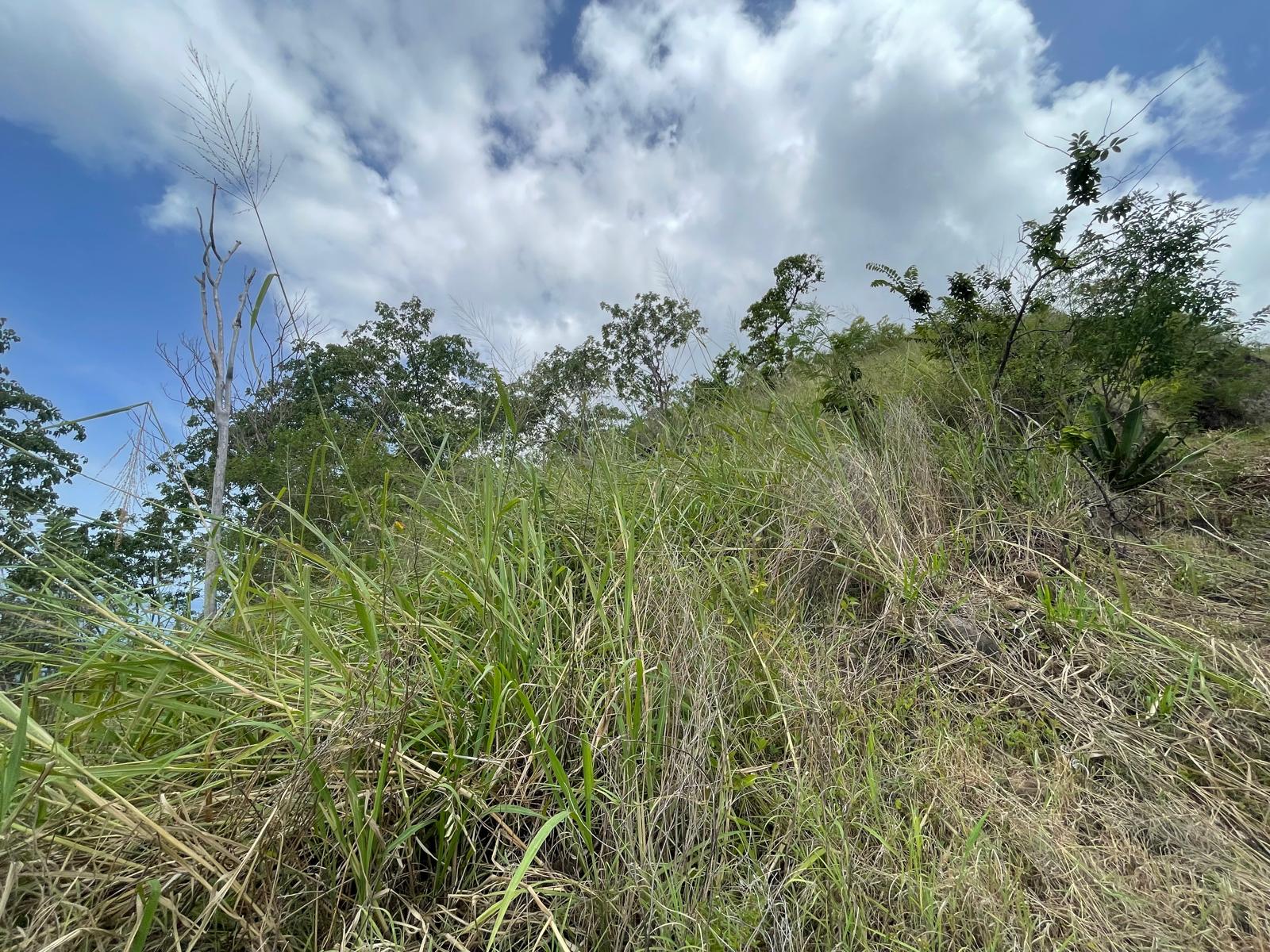 4.5 acres of ocean front property for sale in Colihaut, Dominica. – Inquire for price