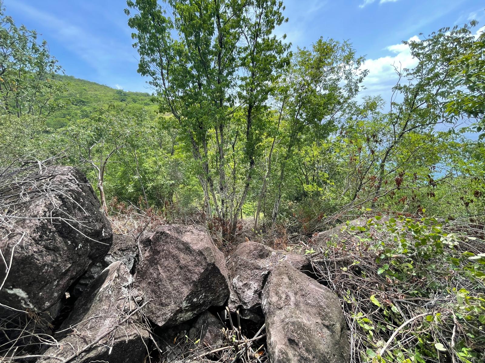 4.5 acres of ocean front property for sale in Colihaut, Dominica. – Inquire for price