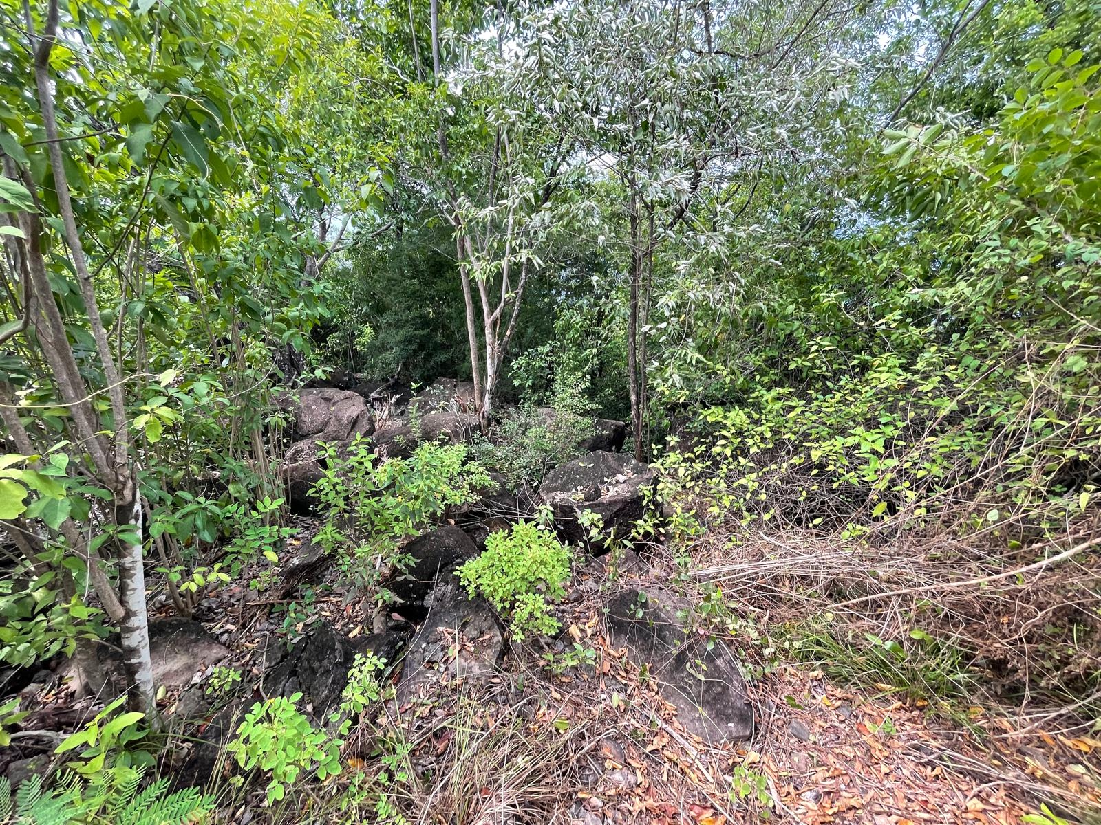 4.5 acres of ocean front property for sale in Colihaut, Dominica. – Inquire for price